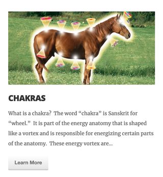 A graphic of a horse with a yellow-white aura and cones of colorful light shooting out at random points, supporting an article called ‘Chakras’.